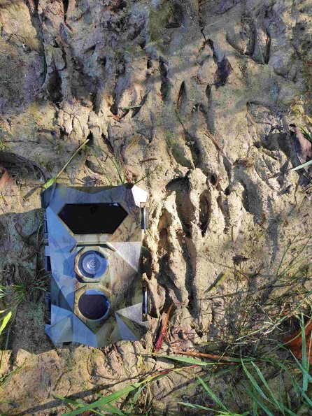 PA_AT_KOB_abovefootprintphoto_20210926104037943