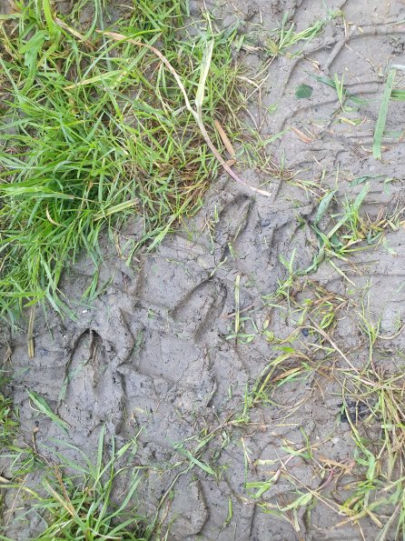 PA_AT_KOB_abovefootprintphoto_20210926105638103