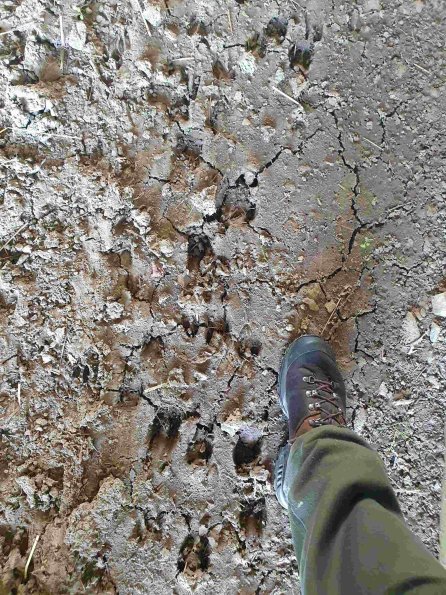 PA_AT_KOB_abovefootprintphoto_20210926114425465