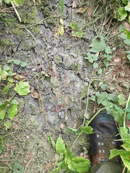 PA_AT_KOB_abovefootprintphoto_20210926130220676