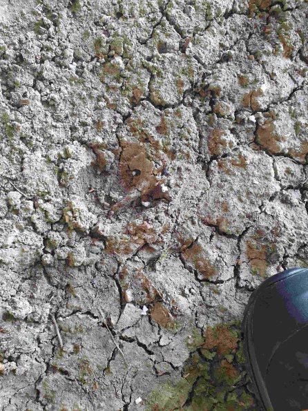 PA_AT_KOB_abovefootprintphoto_20210926131203601