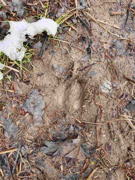 PA_AT_KOB_abovefootprintphoto_20220402095156487