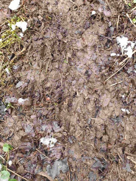 PA_AT_KOB_abovefootprintphoto_20220402100812521