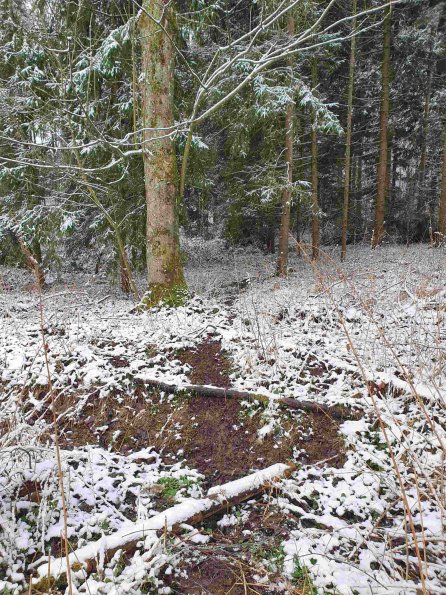 PA_AT_KOB_abovefootprintphoto_20220402100827620