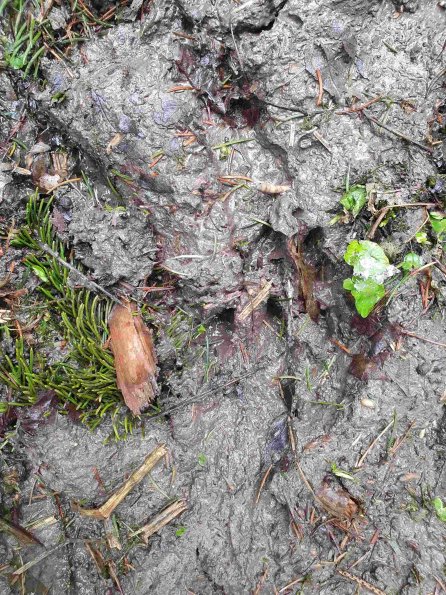 PA_AT_KOB_abovefootprintphoto_20220402115941177