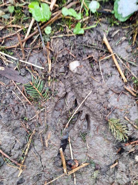 PA_AT_KOB_abovefootprintphoto_20220402120052837