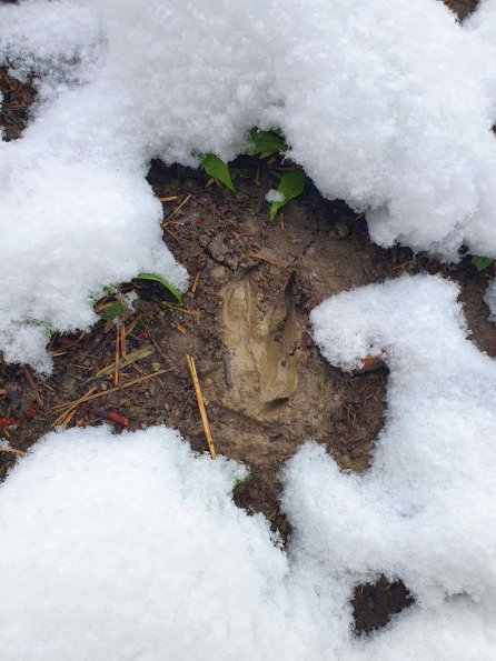 PA_AT_KOB_abovefootprintphoto_20220403100252923