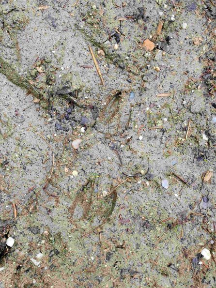 PA_AT_KOB_abovefootprintphoto_20220403105748568