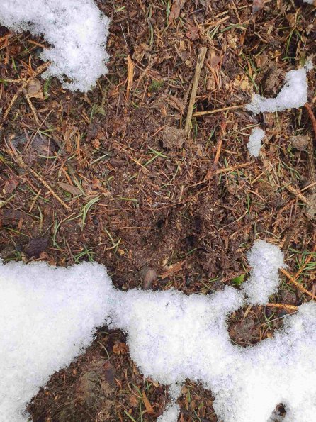 PA_AT_KOB_abovefootprintphoto_20220403111340012