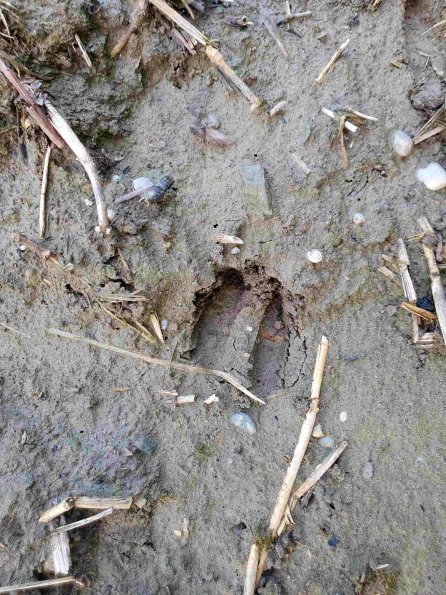 PA_AT_KOB_abovefootprintphoto_20220611091018938