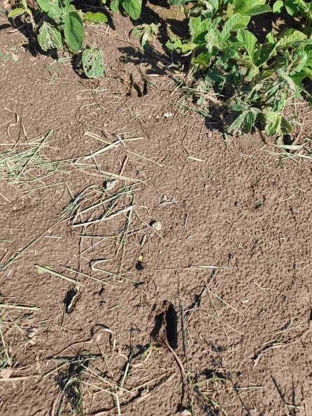 PA_AT_KOB_abovefootprintphoto_20220611101325051