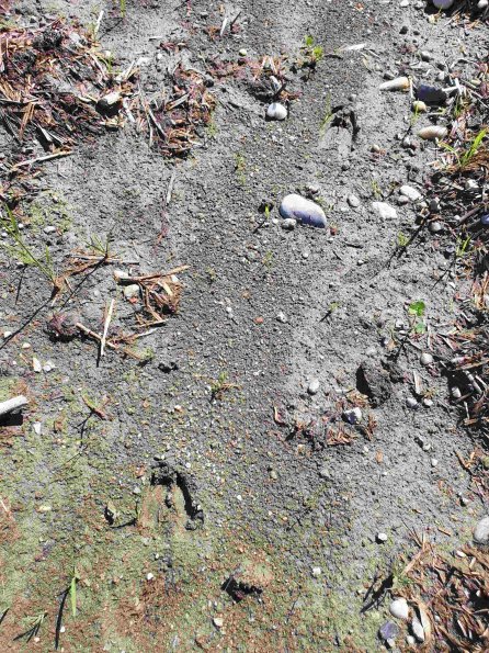 PA_AT_KOB_abovefootprintphoto_20220611102357218