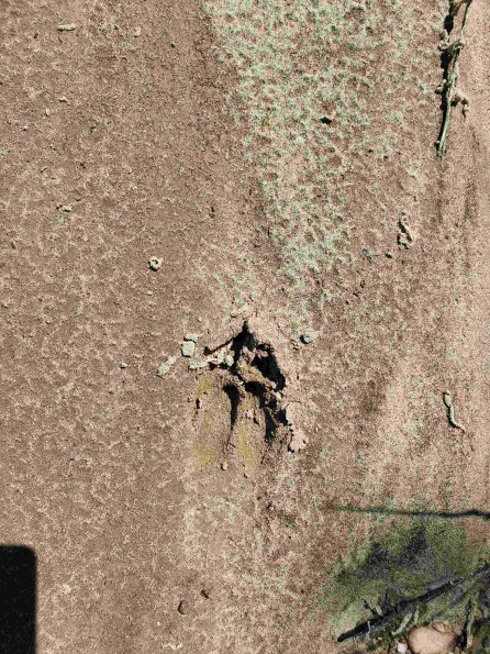 PA_AT_KOB_abovefootprintphoto_20220611111527747