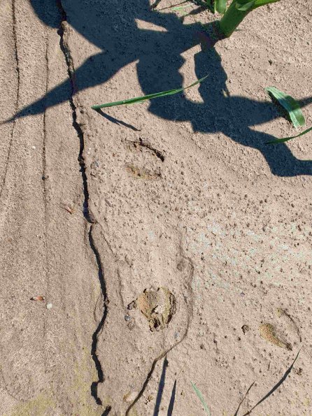 PA_AT_KOB_abovefootprintphoto_20220611112433549