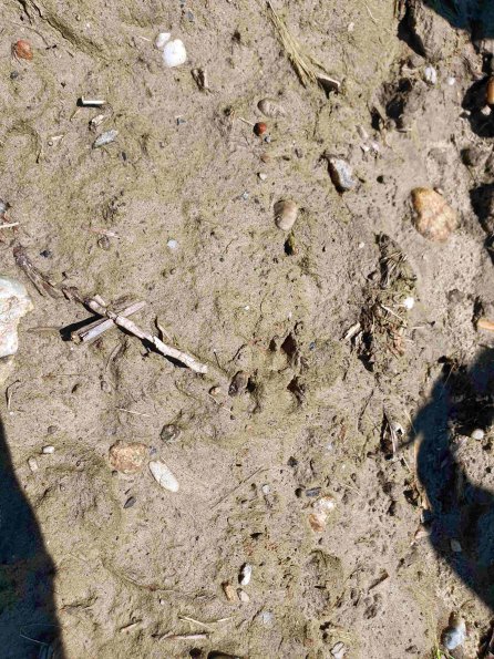 PA_AT_KOB_abovefootprintphoto_20220611113724060