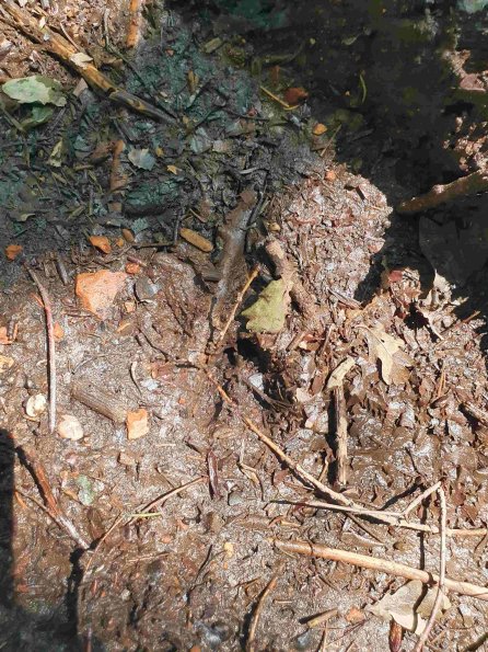 PA_AT_KOB_abovefootprintphoto_20220611115052967