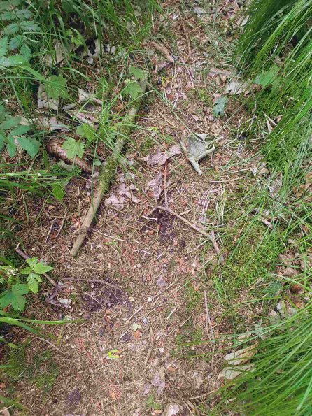 PA_AT_KOB_abovefootprintphoto_20220611131846377