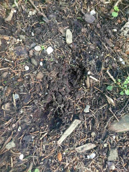 PA_AT_KOB_abovefootprintphoto_20220611133041961