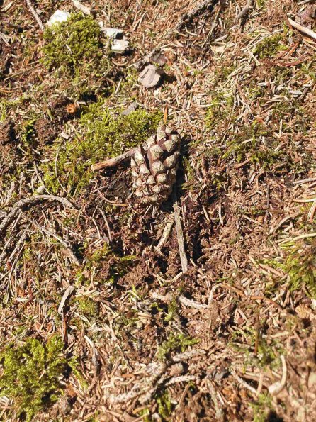 PA_AT_KOB_abovefootprintphoto_20220611143633132