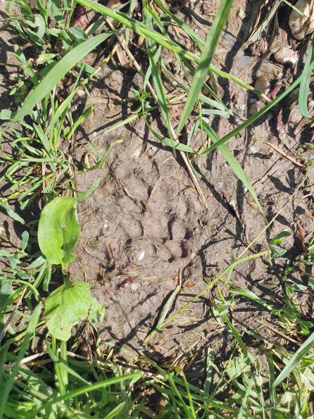 PA_AT_KOB_abovefootprintphoto_20220611145345569