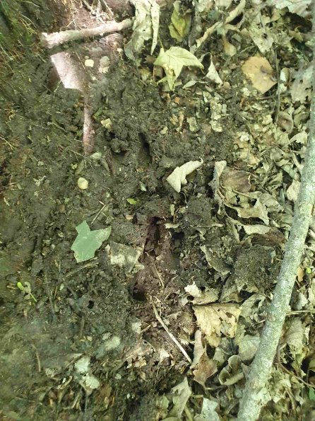 PA_AT_KOB_abovefootprintphoto_20220611151704703