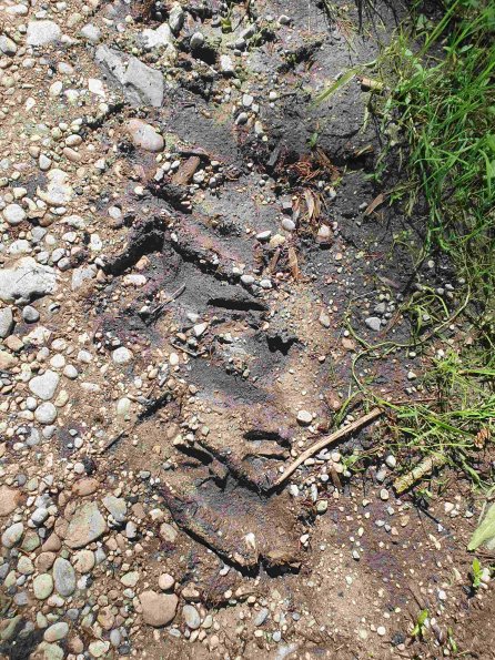 PA_AT_KOB_abovefootprintphoto_20220611153536583