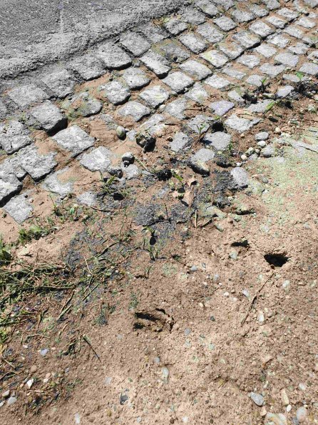 PA_AT_KOB_abovefootprintphoto_20220611154841729