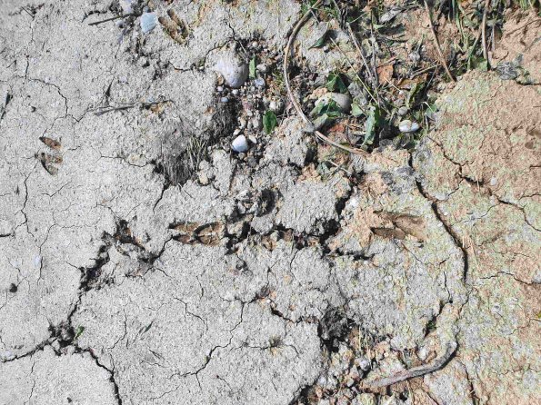 PA_AT_KOB_abovefootprintphoto_20220611154950312