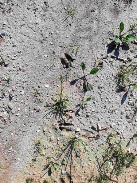 PA_AT_KOB_abovefootprintphoto_20220611164935627