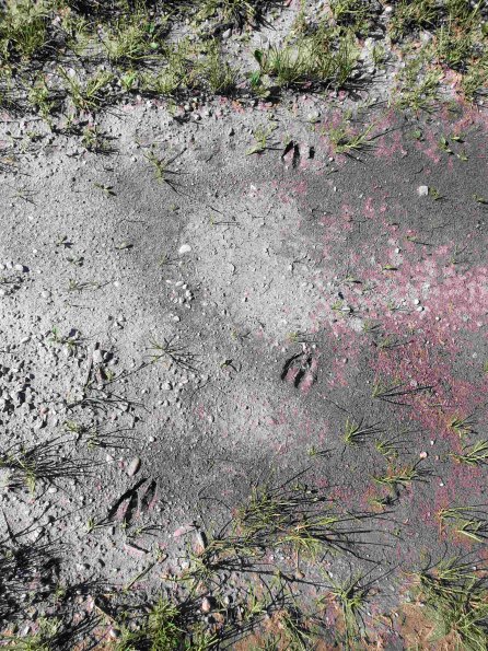 PA_AT_KOB_abovefootprintphoto_20220611165003620