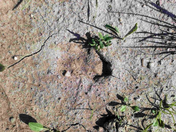 PA_AT_KOB_abovefootprintphoto_20220611165646145