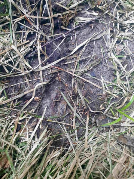 PA_AT_KOB_abovefootprintphoto_20220611181746943