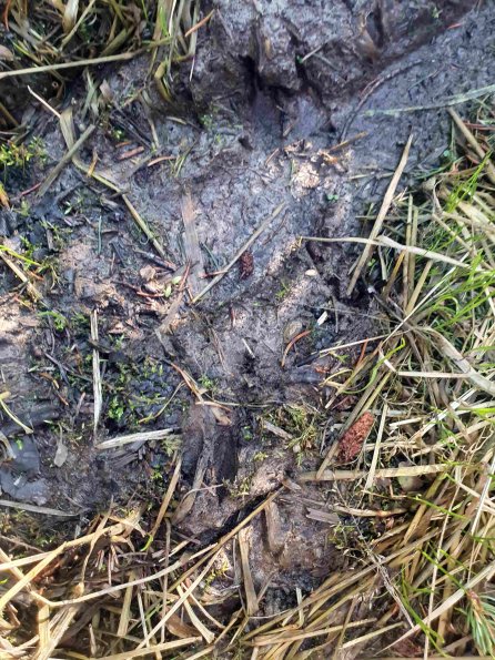 PA_AT_KOB_abovefootprintphoto_20220611182712825