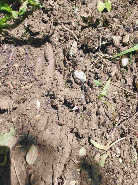 PA_AT_KOB_abovefootprintphoto_20220612111122292