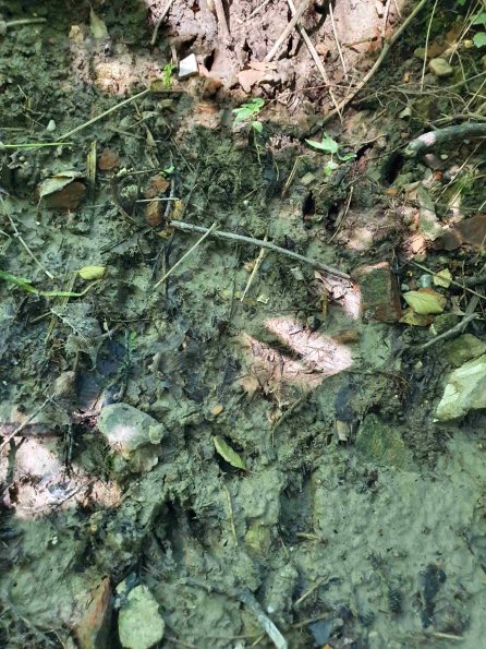 PA_AT_KOB_abovefootprintphoto_20220612111411940