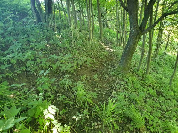 PA_AT_KOB_abovefootprintphoto_20220612112417153