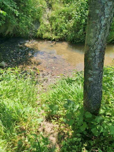 PA_AT_KOB_abovefootprintphoto_20220612112803929