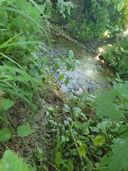 PA_AT_KOB_abovefootprintphoto_20220612112949406