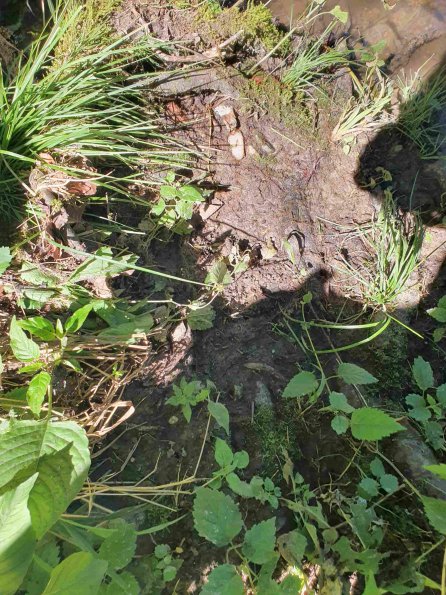 PA_AT_KOB_abovefootprintphoto_20220612114322278