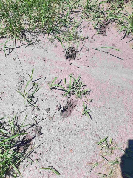 PA_AT_KOB_abovefootprintphoto_20220612121331152