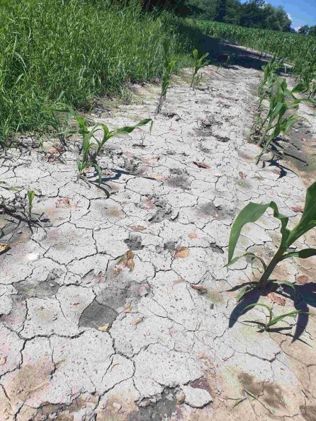 PA_AT_KOB_abovefootprintphoto_20220612122426065