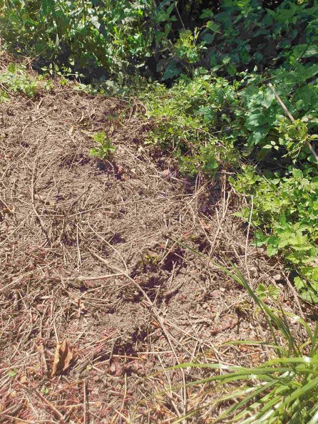 PA_AT_KOB_abovefootprintphoto_20220612135418045