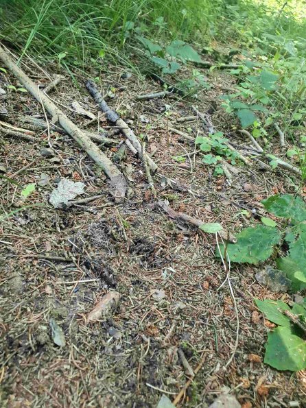 PA_AT_KOB_abovefootprintphoto_20220612135925029