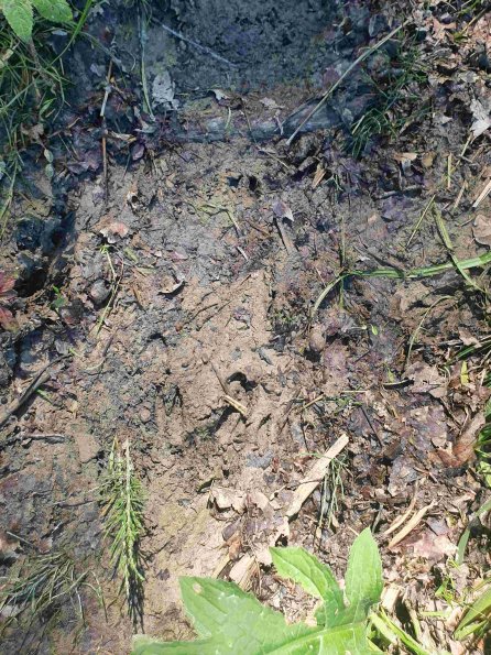 PA_AT_KOB_abovefootprintphoto_20220612140757827