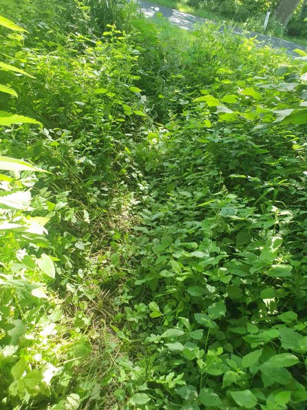 PA_AT_KOB_abovefootprintphoto_20220612145636976