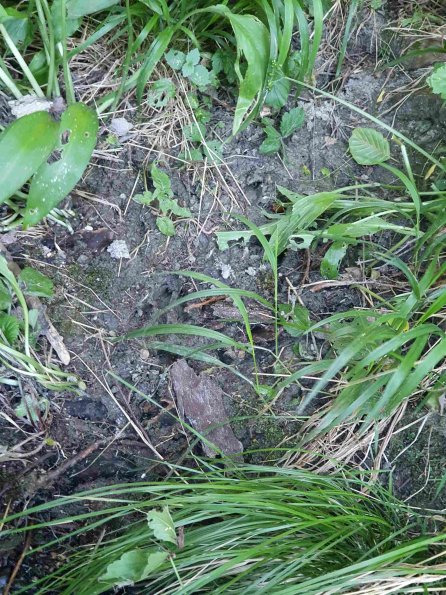 PA_AT_KOB_abovefootprintphoto_20220612150316975