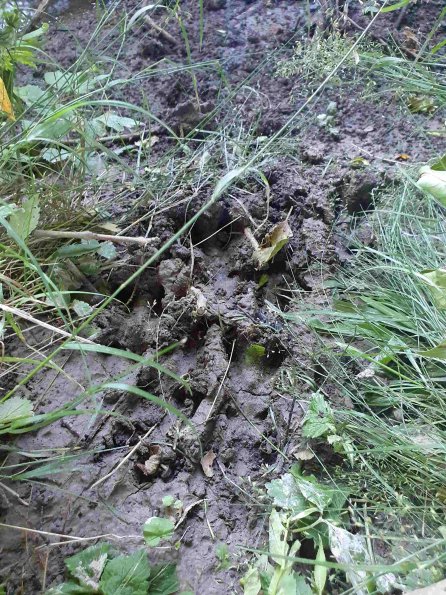 PA_AT_KOB_abovefootprintphoto_20220612152022596