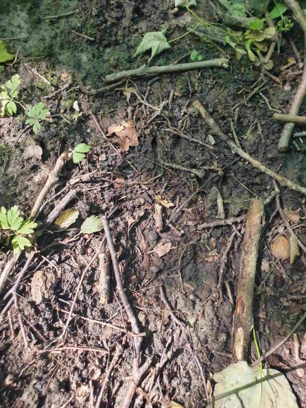 PA_AT_KOB_abovefootprintphoto_20220612154724333