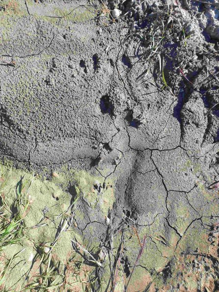 PA_AT_KOB_abovefootprintphoto_20220612165342191