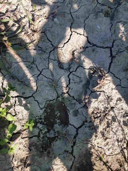 PA_AT_KOB_abovefootprintphoto_20220612165513110